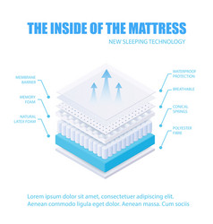 Anatomy a mattress - separate inside layers in Vector Image