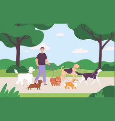 Man Volunteer Character Walking With Many Dogs