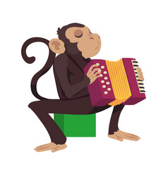 Animal Playing Instrument Monkey With Accodion