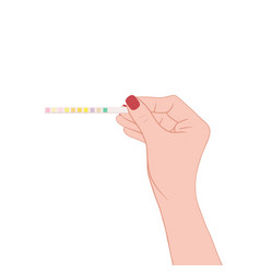 Test Strips For Urinalysis For Analyze