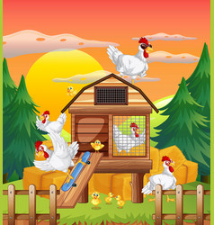 Chicken Coop With Chickens In The Farm