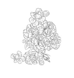 Sketch Carnation Drawing Carnation Bouquet Drawin