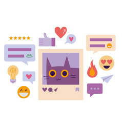 Photo Frame With Cute Cat Post For Social Media