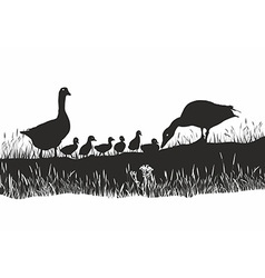 Geese Family On Spring Meadow