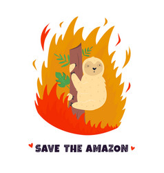 Amazonian Forest In Fire Sloth In Flame