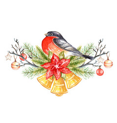 Christmas Plants And Bullfinch Watercolor Isolated