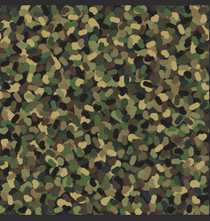 Camouflage Pattern Background Classic Clothing