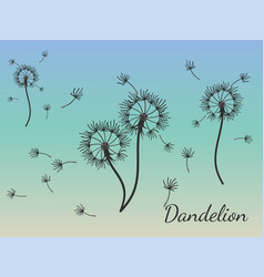 Abstract Background Dandelion Design For