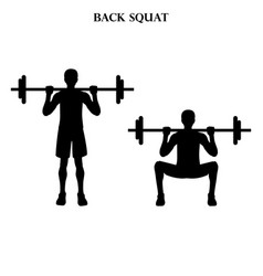 Back Squat Exercise Strength Workout