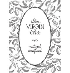 Extra Virgin Olive Oval Wreath Postcard