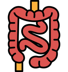 A Black And White Drawing Of Large Intestine