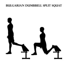 Bulgarian Dumbbell Split Squat Exercise Strength