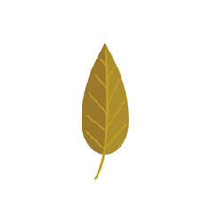 Fall Leaf Icon Flat Autumn Tree