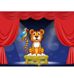 A Tiger And Parrot In The Circus