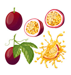 Passion Fruit Set Cartoon