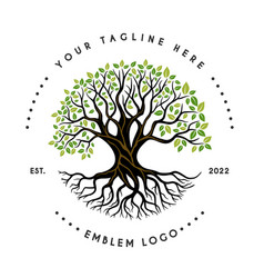 Oak Logo Design With Roots