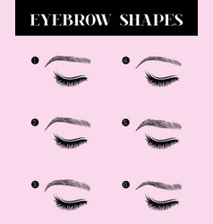 Eyebrow Shapes