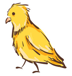 A Yellow Canary Bird On White Background