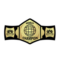 Pattern Belt World Champion Martial Arts Isolated