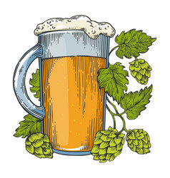 Beer And Hops Plant Color Sketch Engraving