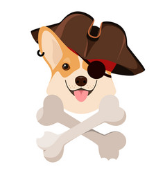 Pirate Dog