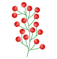 Mistletoe Branch With Berries