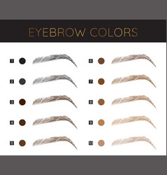 Eyebrows Colors Chart Fashion Make Up