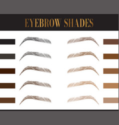 Eyebrows Colors Chart Elegant Fashion Make Up