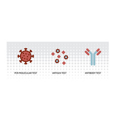 Covid Test Icon Pcr Antibody Antigen Testing