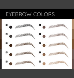 Eyebrows Colors Make Up