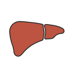 Liver Color Icon