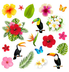 Tropical Palm Leaves And Toucans And Flowers