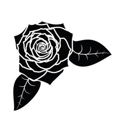 A Silhouette Of Blossoming Rose