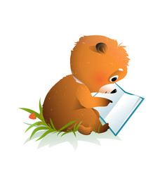 Teddy Bear Reading A Book Or Learning In Forest