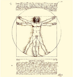 Leonardo Da Vinci Vitruvian Man Sketch Page