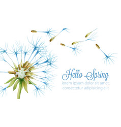 Hello Spring Banner With Watercolor Dandelion