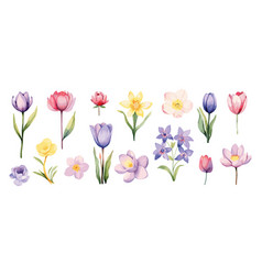 Spring Flowers Isolated Clipart Watercolor Flower