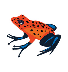 Flat Orange Frog