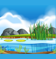 Green pond nature scene Royalty Free Vector Image