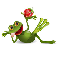 Stock Frog With Strawberry