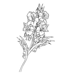 Minimalist Gladiolus Flower Tattoo Art