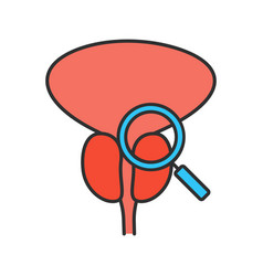 Prostate Exam Check Color Icon