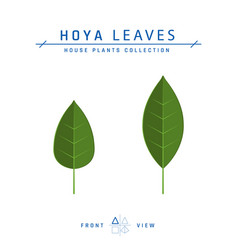 Hoya Plant Leaf Icon In Flat Style