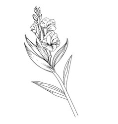 Black Gladiolus Tattoo Minimalist