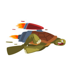 Fast Turtle Funny Animal Cartoon Character