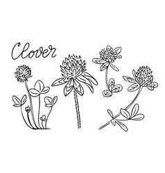 Summer Outline Doodle Set With Clover Flowers