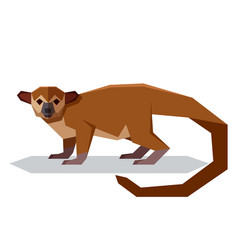 Flat Polygonal Kinkajou