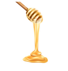 Honey Drop Wood Drip Gold Syrup Liquid Golden