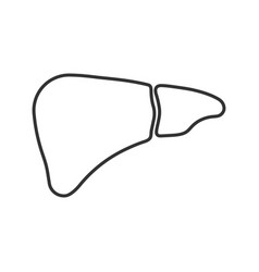 Liver Linear Icon