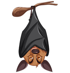 Cartoon Bat Hanging On White Background